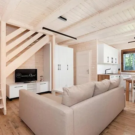 Comfortable No 8 , Summer Pool Rewal