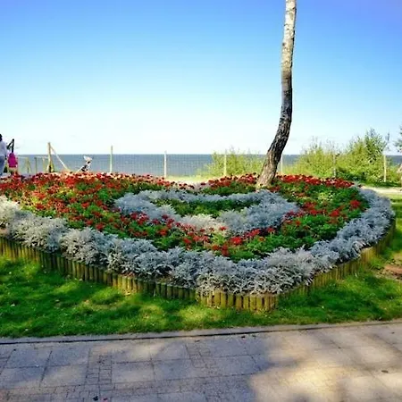 Comfortable No 8 , Summer Pool Σπίτι διακοπών *